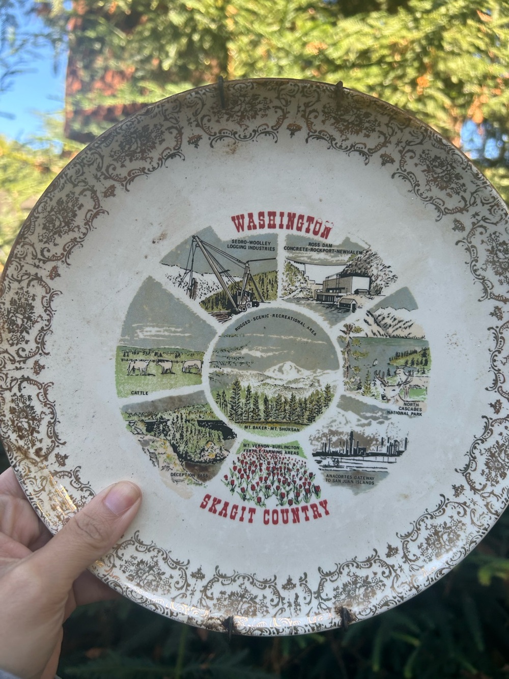 vintage Skagit County, Washington souvenir collector plate featuring a decorativ